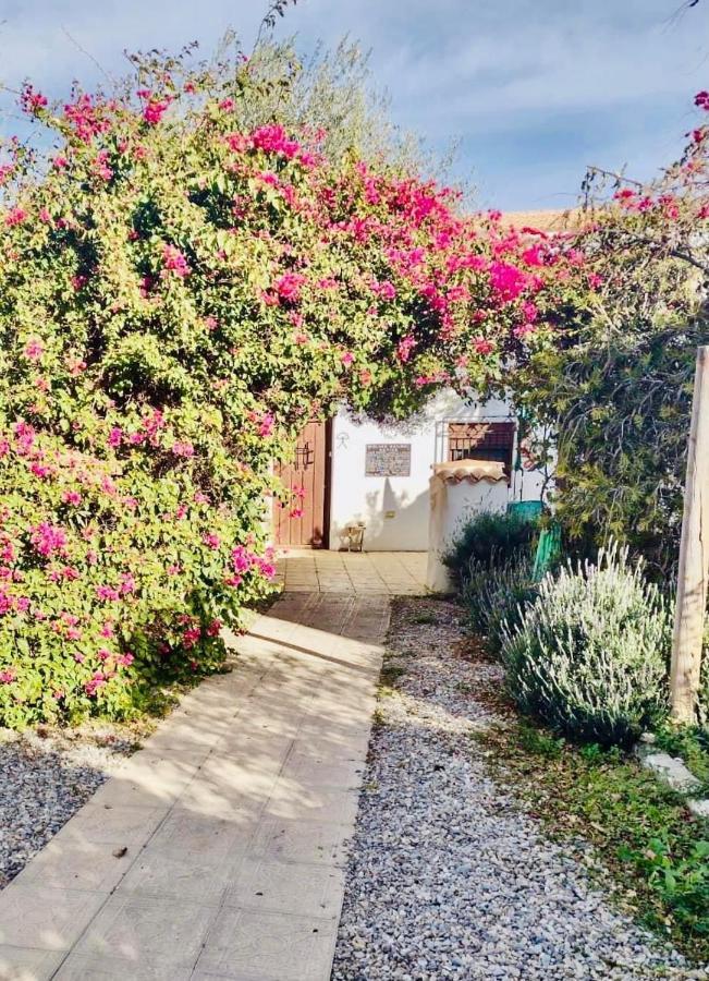 Lavender Lodge Almeria Arboleas Exterior photo