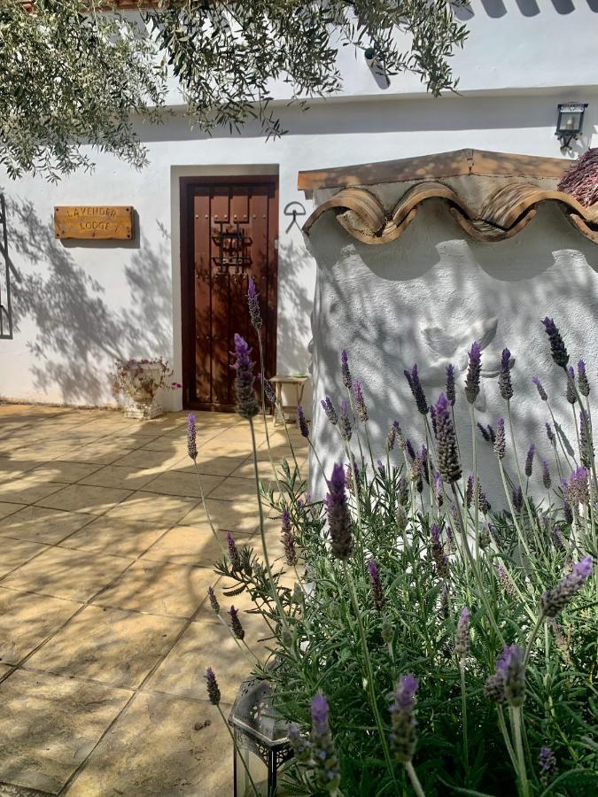 Lavender Lodge Almeria Arboleas Exterior photo
